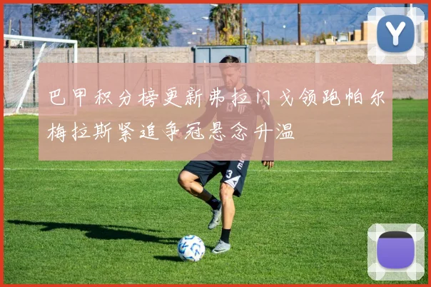 巴甲积分榜更新弗拉门戈领跑帕尔梅拉斯紧追争冠悬念升温